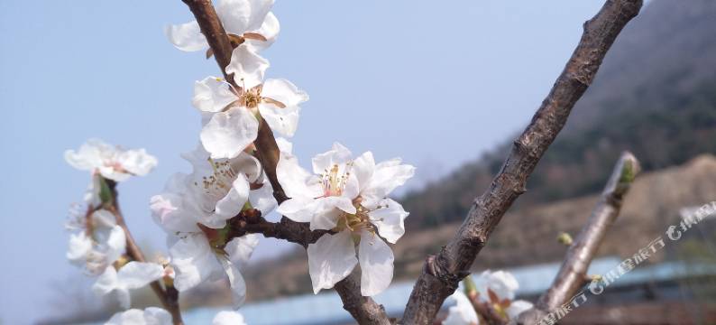 AA连锁酒店(连云港晋彤花园店)图片