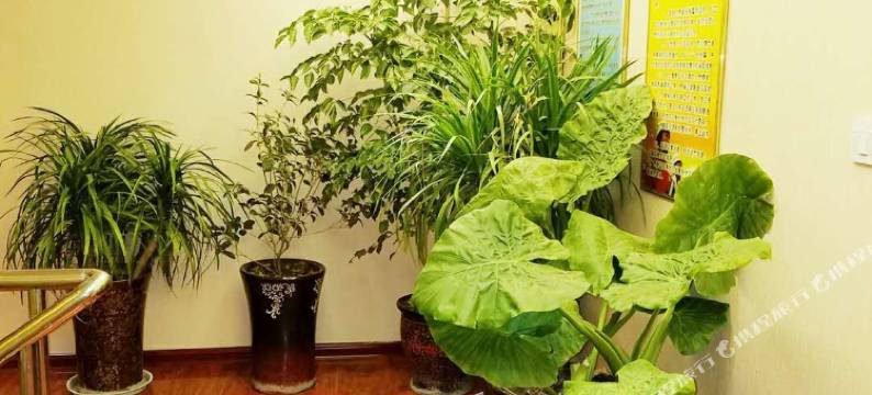 叶县第6感宾馆图片