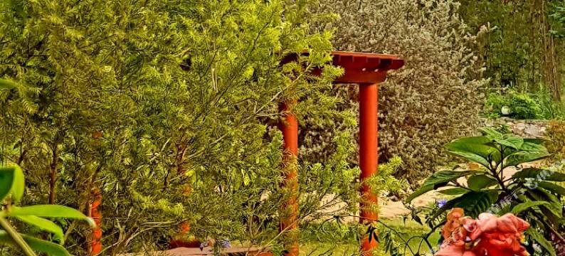 考艾达芬奇迪酒店(Davinci di Khaoyai)图片