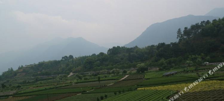 松阳听茶小筑图片