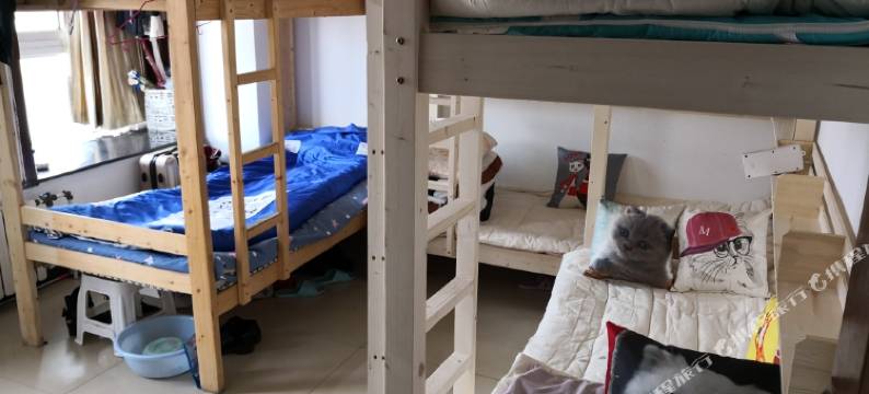 两只小猪青年旅舍图片