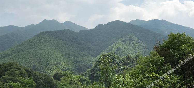 泾县仙峰度假山庄图片