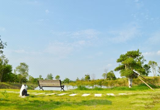 Shunfa Hotel Hotel Overview