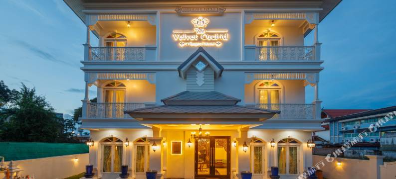 天鹅绒兰花酒店(The Velvet Orchid)图片