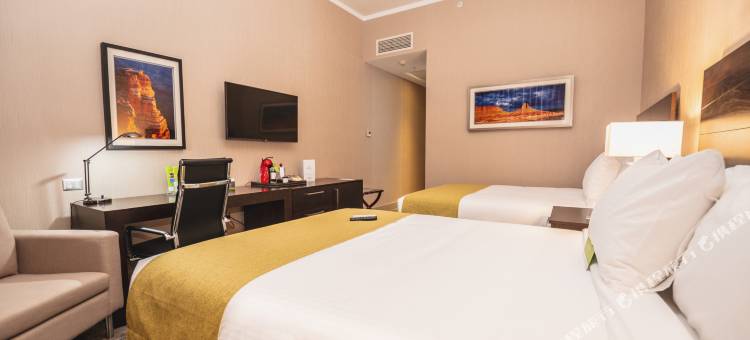 圣地亚哥机场温德姆酒店(WYNDHAM SANTIAGO AIRPORT)图片