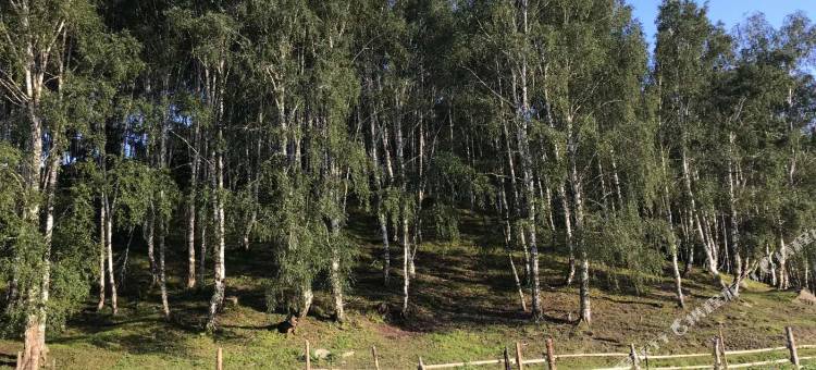 布尔津静逸时光景观客栈图片