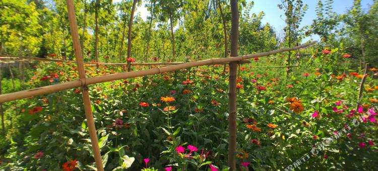 Q加·霍尔果斯六十二团雅富达商务酒店图片