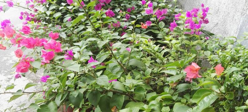 双峰梦缘民宿酒店图片