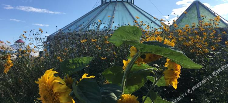 额尔古纳和林格尔旅游部落图片