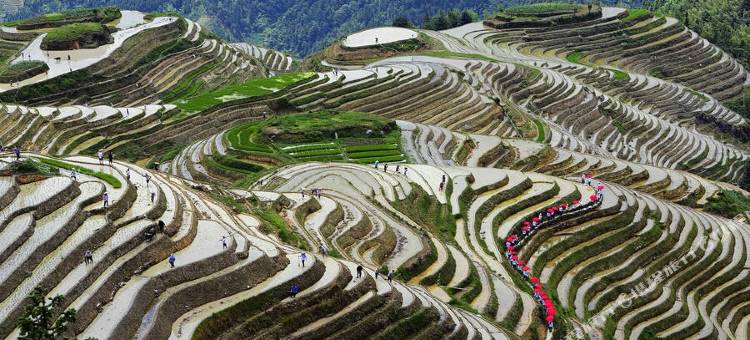龙胜山景楼客栈图片