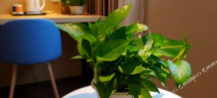 城市之家酒店(洛阳王城公园解放路地铁站店)图片