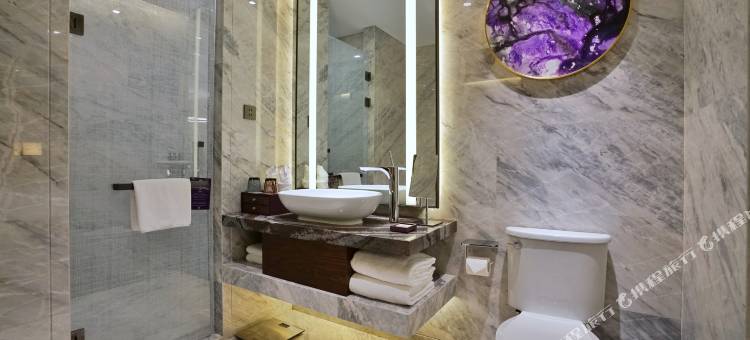 桂林天龙湾璞悦酒店(象鼻山两江四湖店)图片