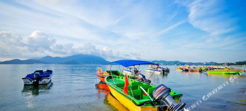 深圳花晨月夕民宿图片
