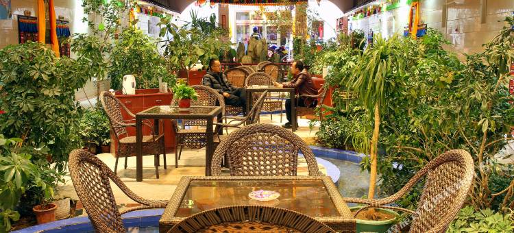 格尔木云麓国际青年旅行客栈图片