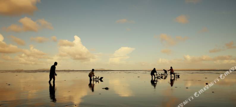 平阳海栖一号民宿(西湾风景区店)图片