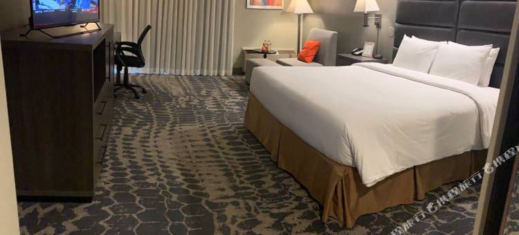 洛杉矶-阿罕布拉-帕萨迪纳格林豪泰酒店(GreenTree Inn & Suites Los Angeles - Alhambra - Pasadena)图片