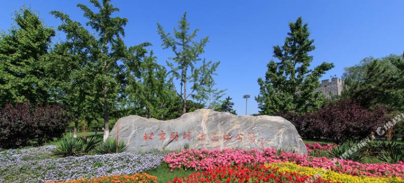 核桃民宿(北京2号店)图片