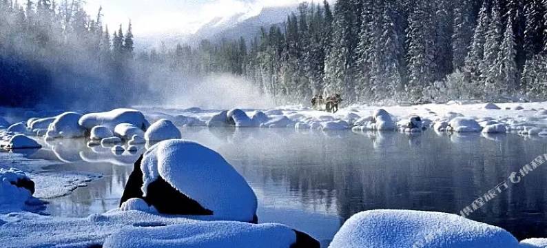 喀纳斯哈力山庄图片