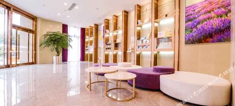 麗枫酒店(崇州万达广场高铁站店)图片