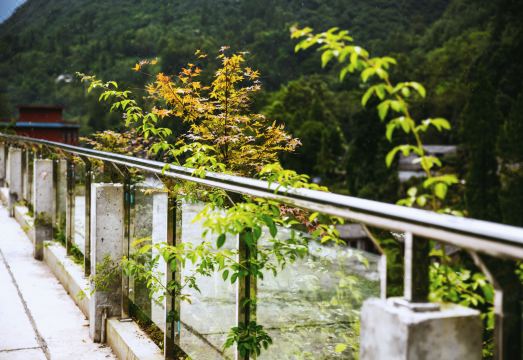 Xiling Snow Mountain Huatian Yueshe HostelHotel Overview