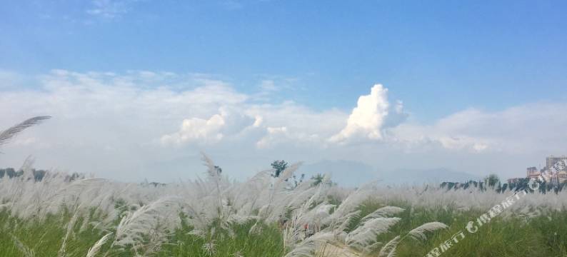 城固锦园宾馆图片