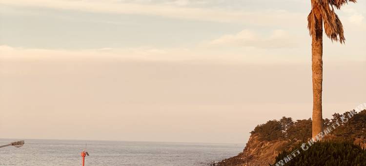 济州琥珀房子海景酒店(Amber House)图片