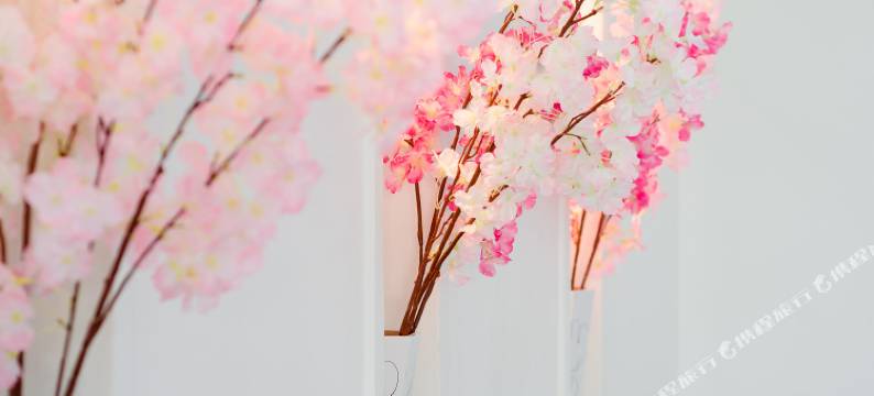 厦门中国加油公寓图片