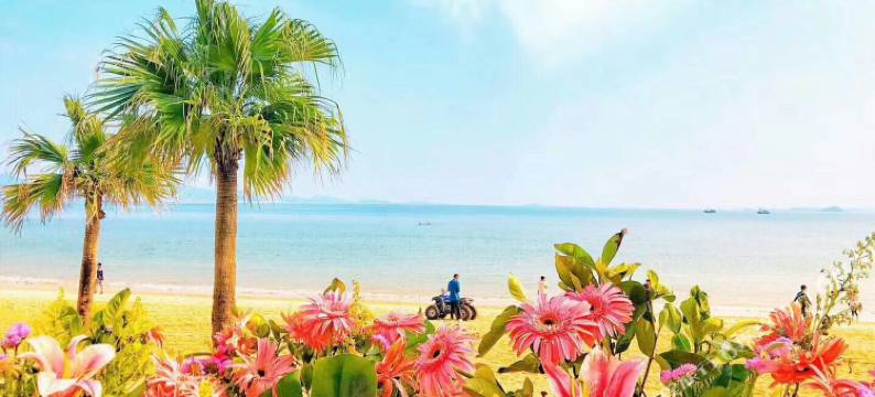 惠州西尔曼海景美宿(大亚湾泡泡海沙滩店)图片