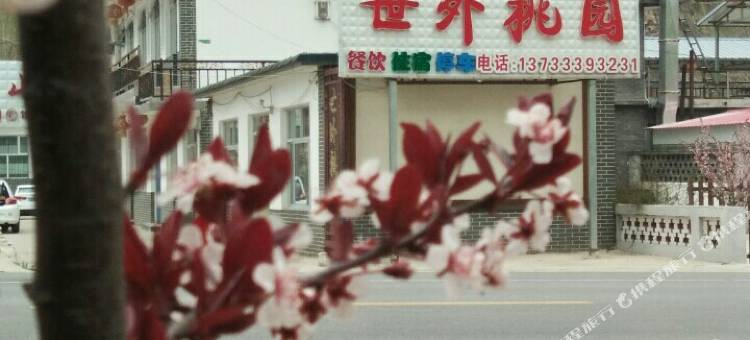 涞源世外桃园农家院图片