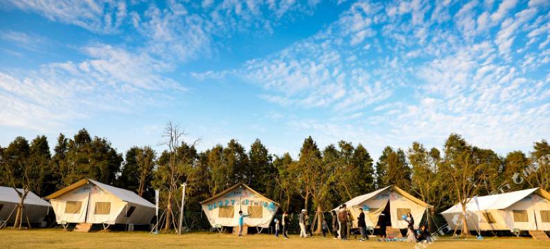 牛路野营上海海湾国家森林公园营地图片