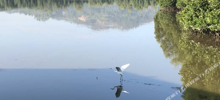 沙巴朋友家红树林水上木屋(Gayang Friendly Water House Homestay)图片