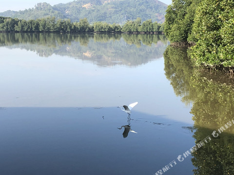 沙巴朋友家红树林水上木屋
