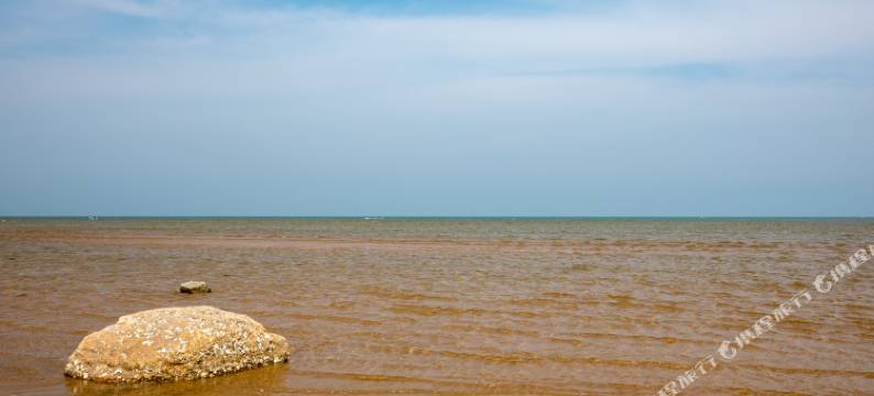 东戴河花海宿酒店(佳兆业四期店)图片