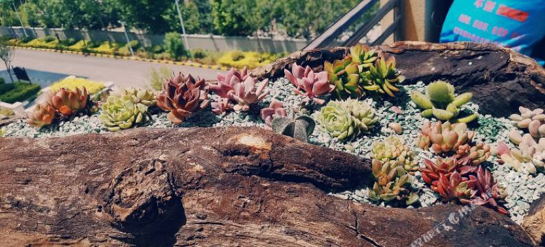 青岛海峰家公寓(8号店)图片