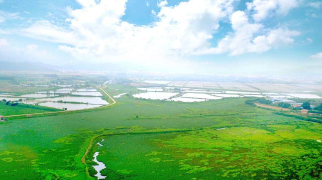 惠州盈富兴酒店图片