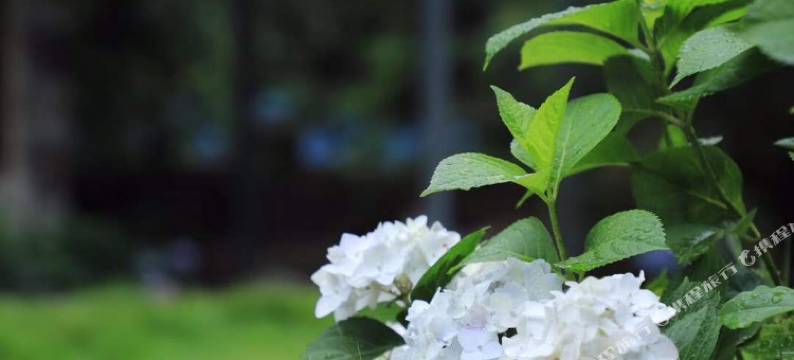 台州风来半山民宿图片