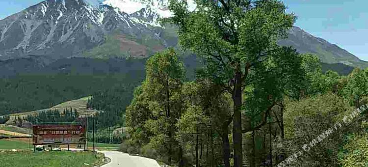 祁连老龙树人家民宿(卓尔山风景区南游客中心店)图片