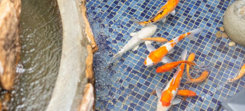 左海壕居酒店图片