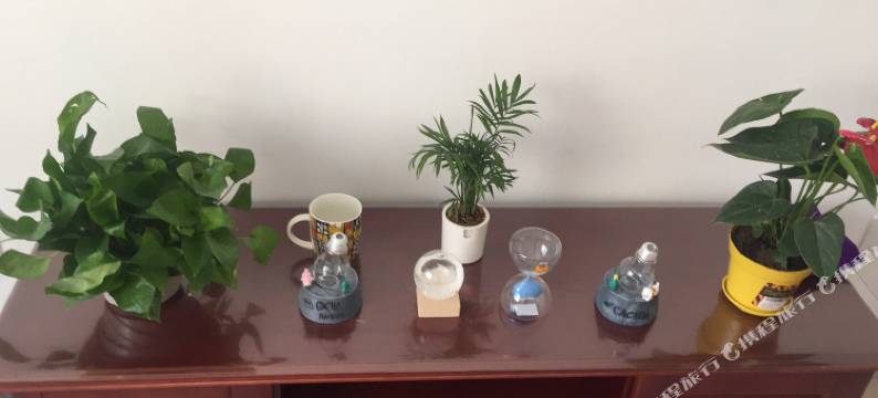 北京i窝公寓图片