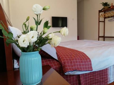 小驿的家公寓(环城南二路1号分店)