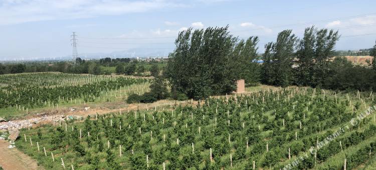 青普文化行馆(怀来八达岭瑞云店)图片