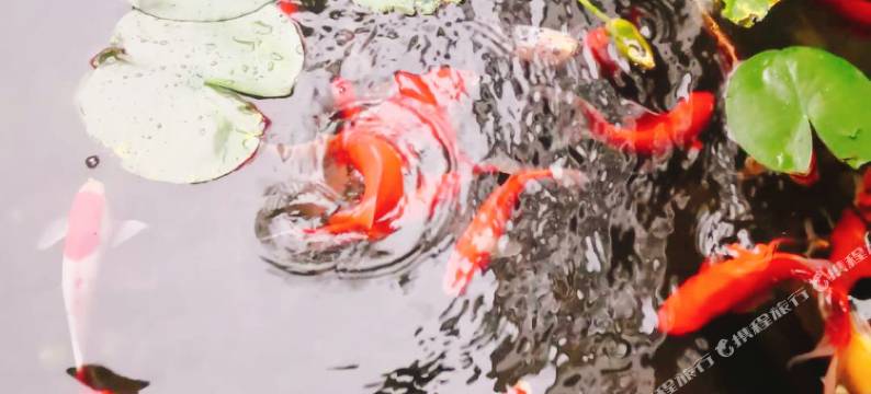 无锡归山清隐客栈图片