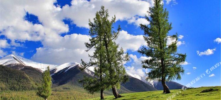 那拉提乡土风情农家院图片