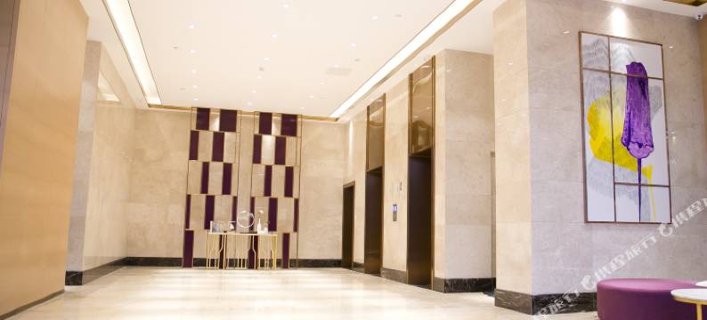 麗枫酒店(深圳坪山高铁站龙东地铁站店)图片