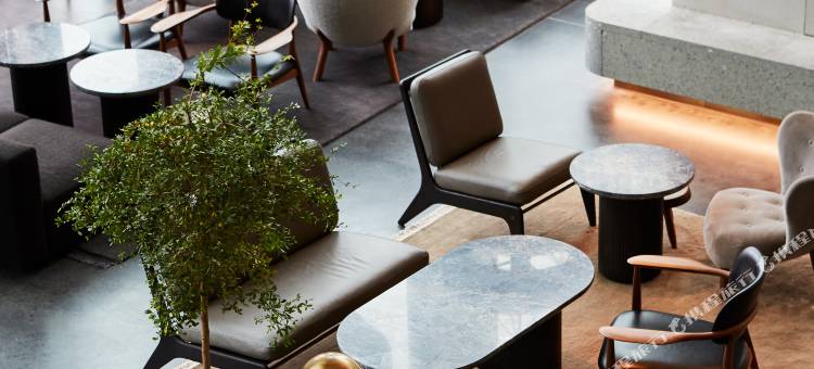 伦敦斯特拉福德傲途格精选(The Stratford, Autograph Collection)图片