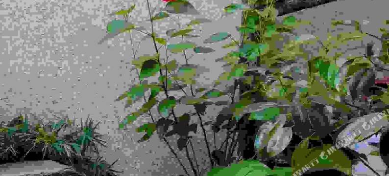 建水归隐民宿图片