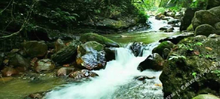 尚客优品酒店(靖西汽车站绣球城店)图片