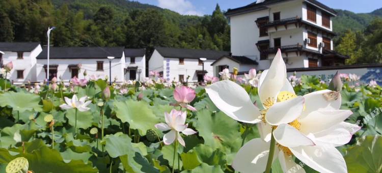 桐庐芸菁溪墅别墅图片