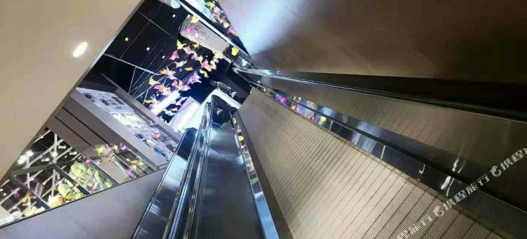 金凤凰商务宾馆(胶州火车站店)图片