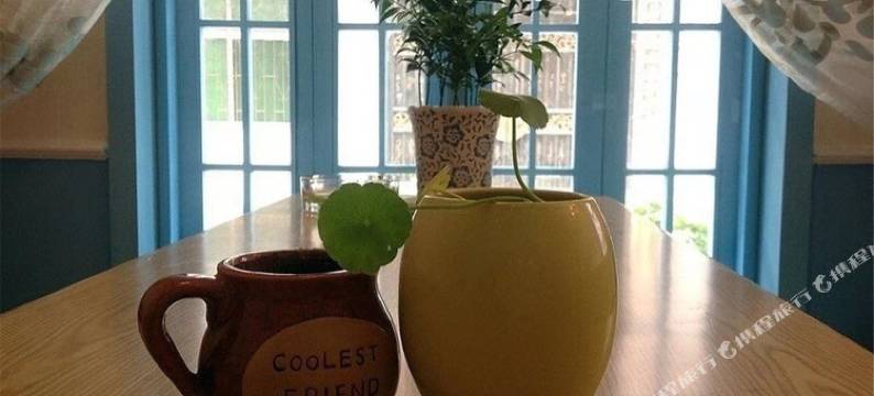 张家界蒲公英特色主题客栈图片